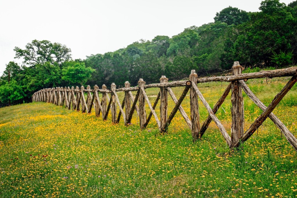 Travel Guide to Driftwood, Texas
